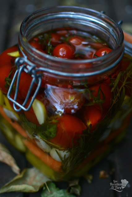 conserva2bde2bvegetales2b03