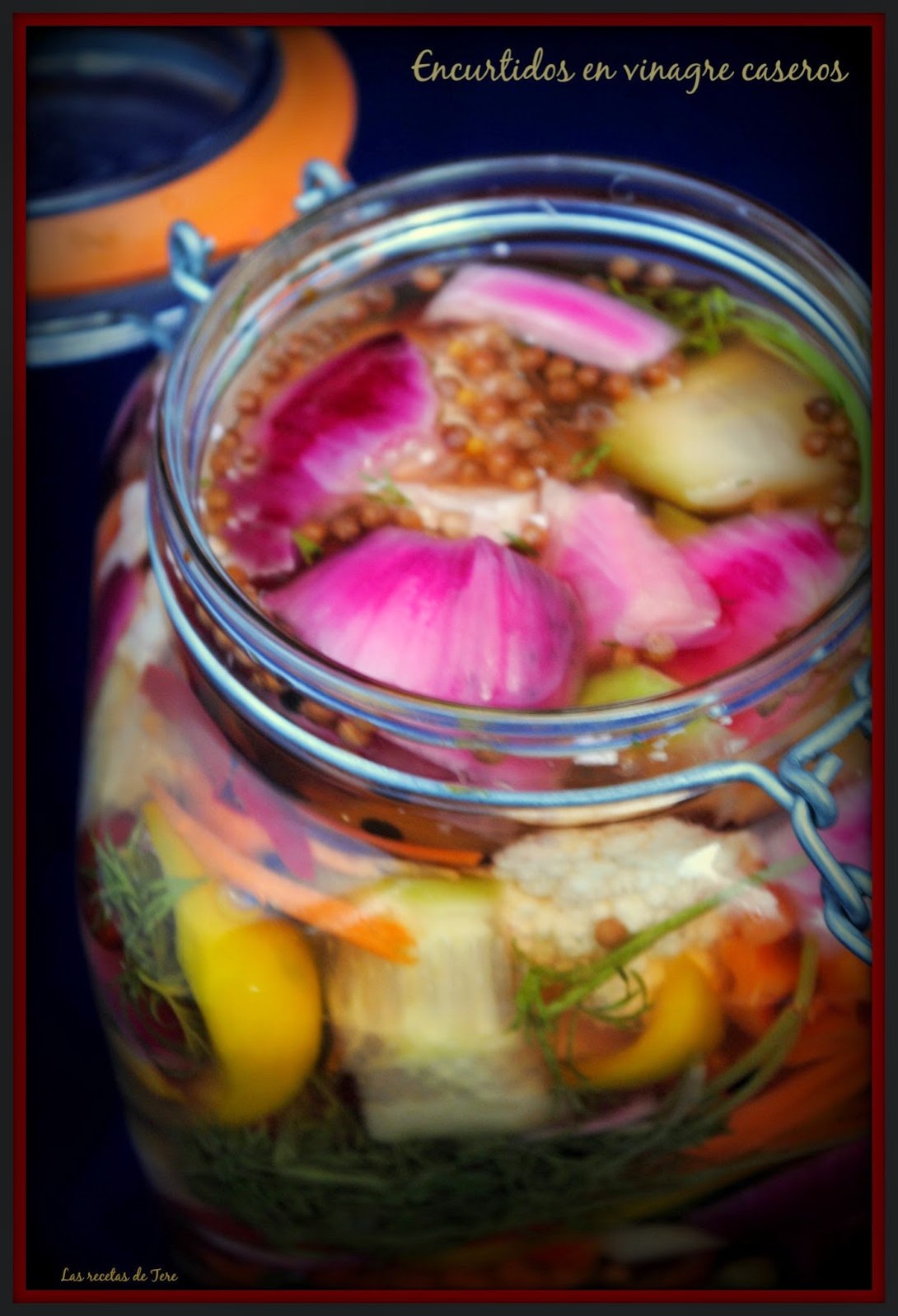encurtidos2ben2bvinagre2bcaseros2b04
