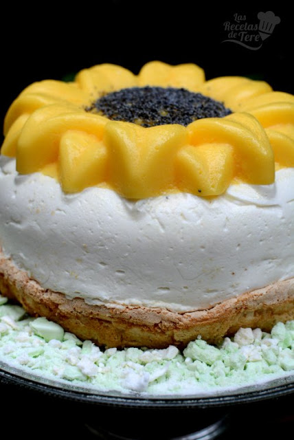 girasol2ba2bdos2blimones2b012b04