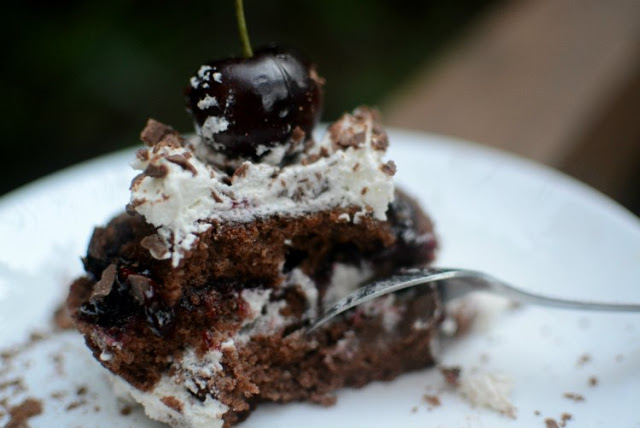 mini2bselva2bnegra2b03