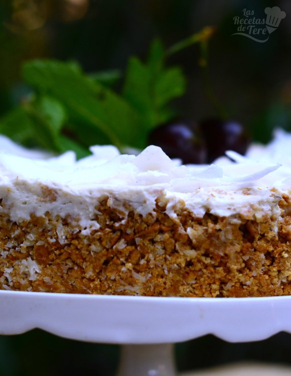 tarta-de-coco-sin-horno-10